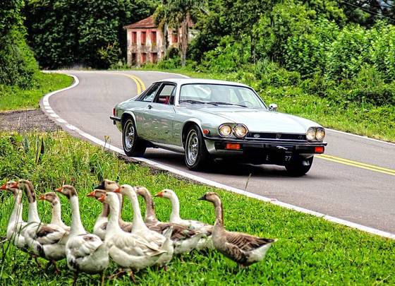 JAGUAR XJ-S 1977