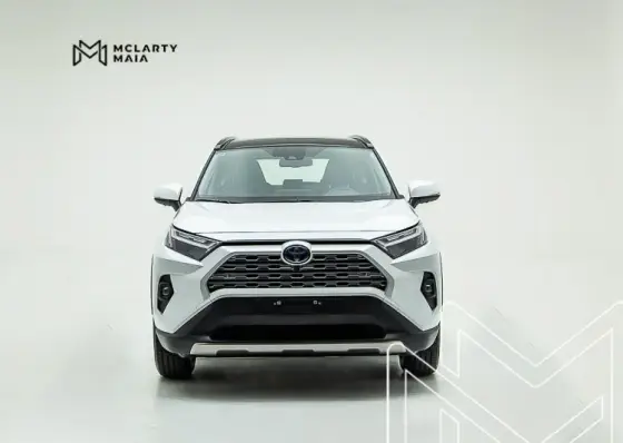 TOYOTA RAV4 2024