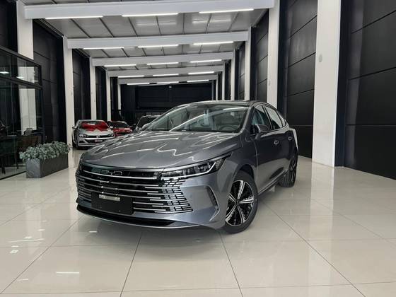 BYD KING 2025
