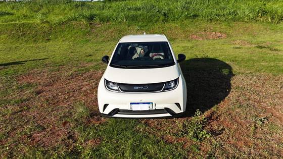 BYD DOLPHIN 2024