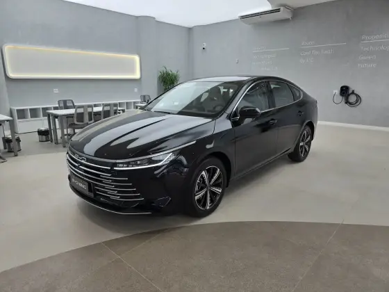 BYD KING 2025