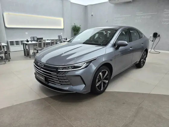BYD KING 2025
