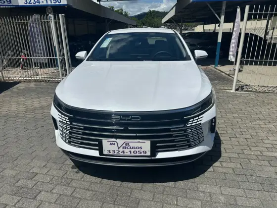 BYD KING 2025