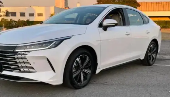 BYD KING 2025
