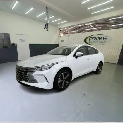 BYD KING 2025