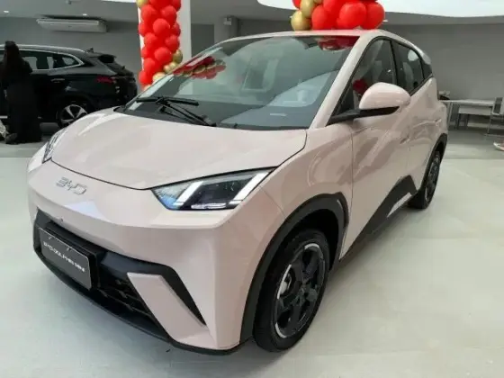 BYD DOLPHIN MINI 2025