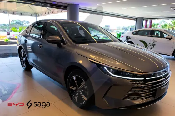 BYD KING 2025