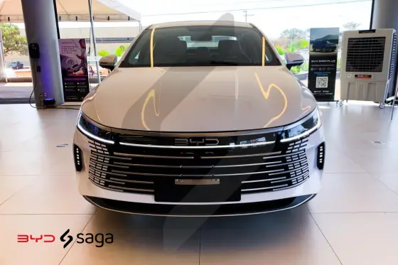 BYD KING 2025