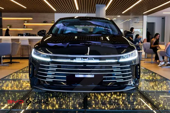 BYD KING 2025