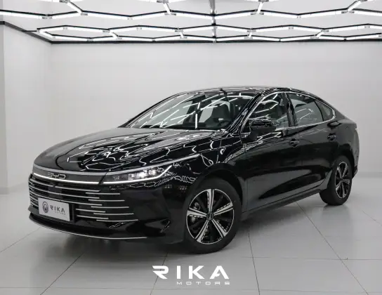 BYD KING 2025