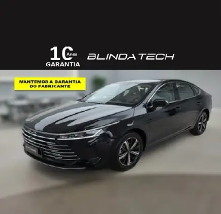 BYD KING 2025