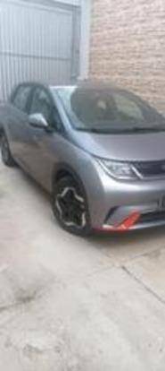 BYD DOLPHIN 2024