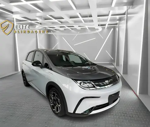 BYD DOLPHIN 2025