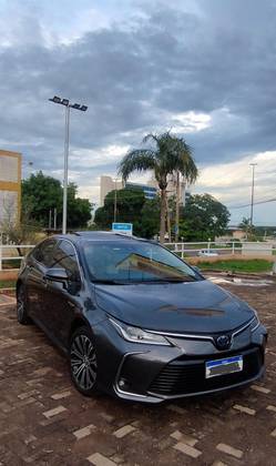 TOYOTA COROLLA 2023