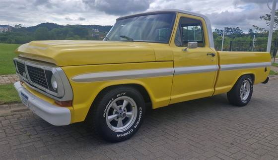 FORD F-1000 1980