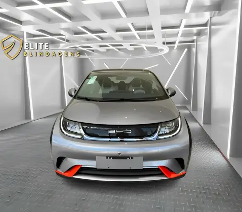 BYD DOLPHIN 2025