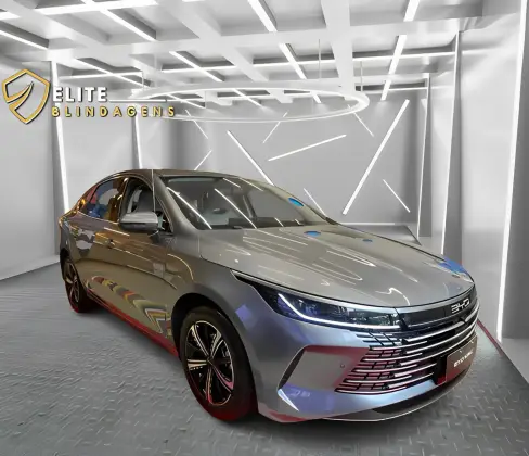 BYD KING 2025