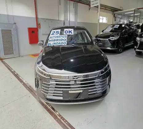 BYD KING 2025