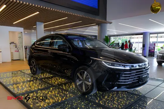 BYD KING 2025
