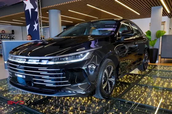 BYD KING 2025