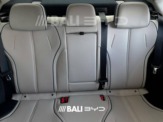 BYD KING 2025
