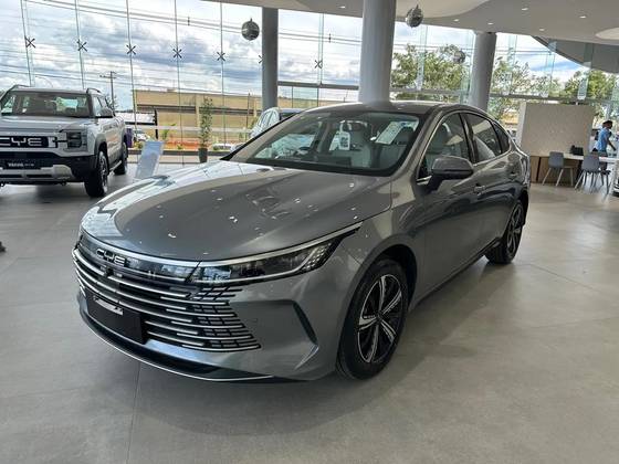 BYD KING 2025