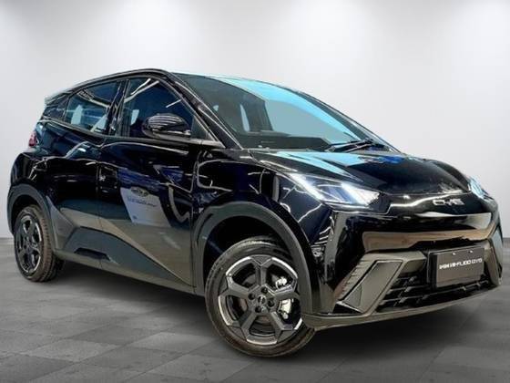 BYD DOLPHIN MINI 2025