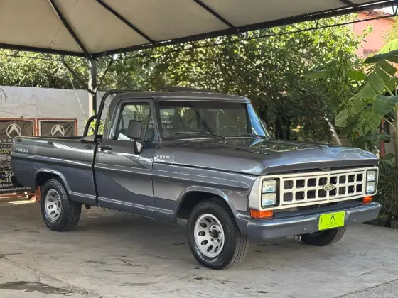 FORD F-1000 1989