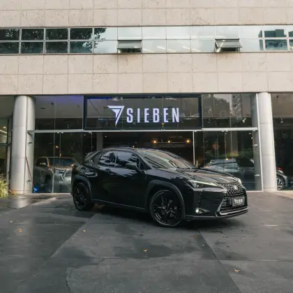 LEXUS UX 250h 2019