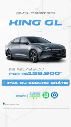 BYD KING 2025