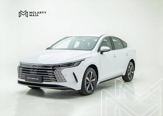 BYD KING 2025