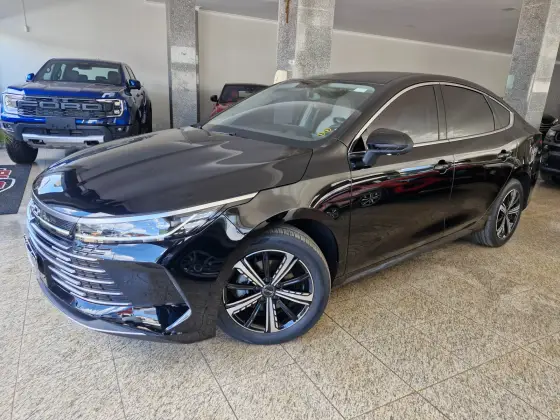 BYD KING 2025