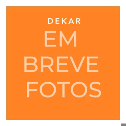 FORD ECOSPORT 2014