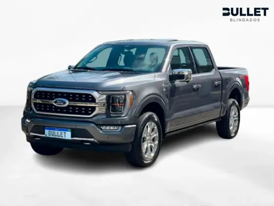 FORD F-150 2024
