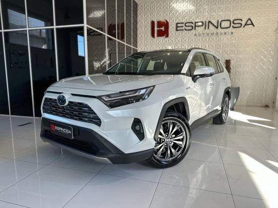 TOYOTA RAV4 2024