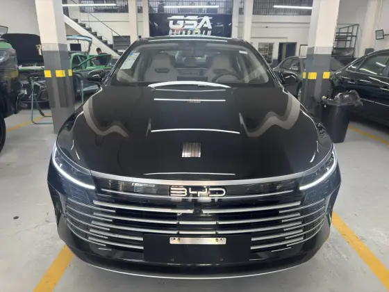 BYD KING 2025