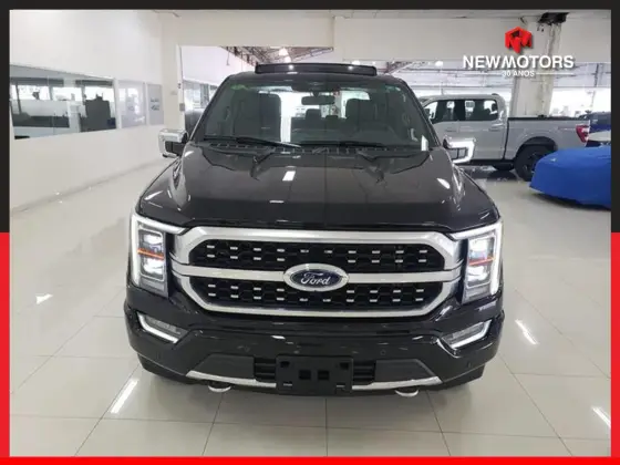FORD F-150 2024