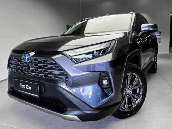 TOYOTA RAV4 2024