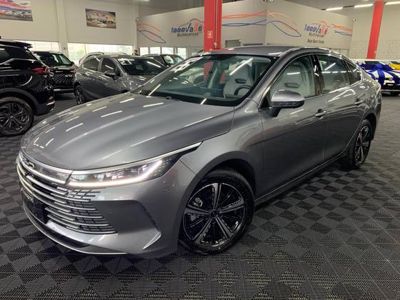 BYD KING 2025