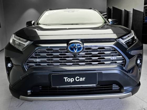 TOYOTA RAV4 2024