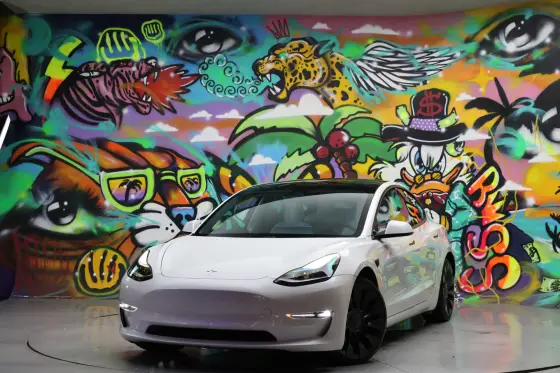 TESLA MODEL 3 2021