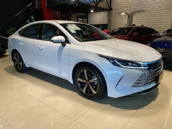 BYD KING 2025