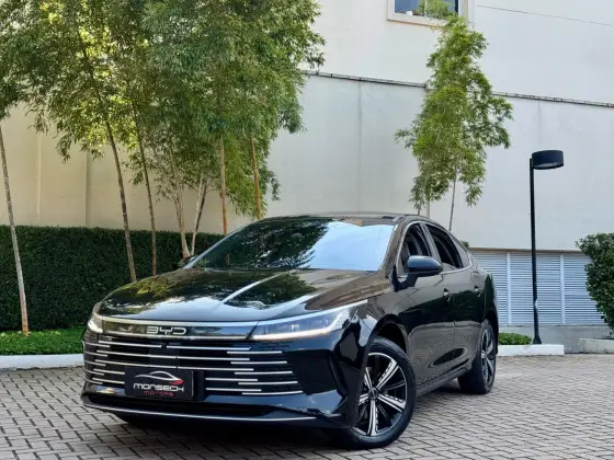 BYD KING 2025