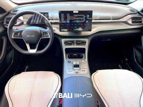 BYD KING 2025