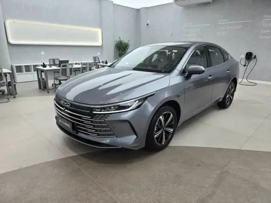 BYD KING 2025