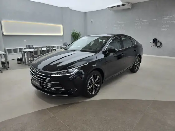 BYD KING 2025