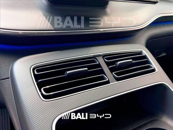 BYD KING 2025