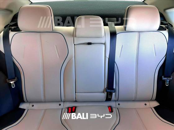 BYD KING 2025