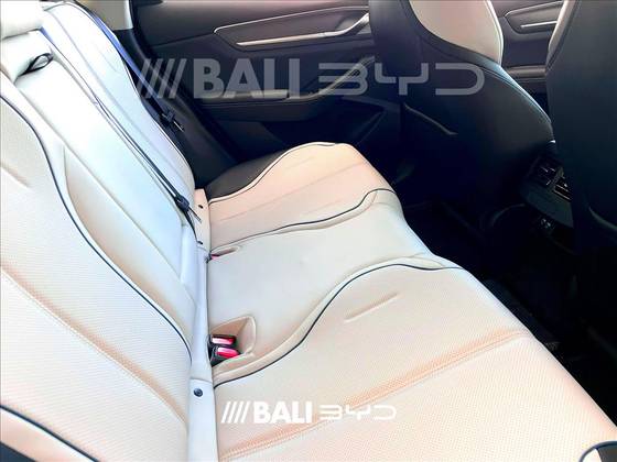 BYD KING 2025