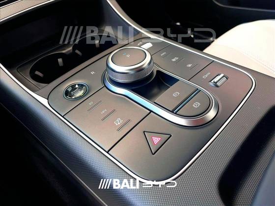 BYD KING 2025